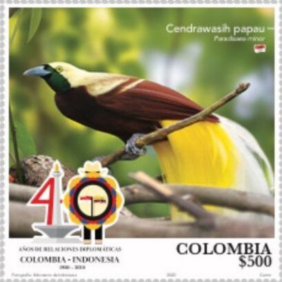 Lesser Bird-of-Paradise (Paradisaea minor)