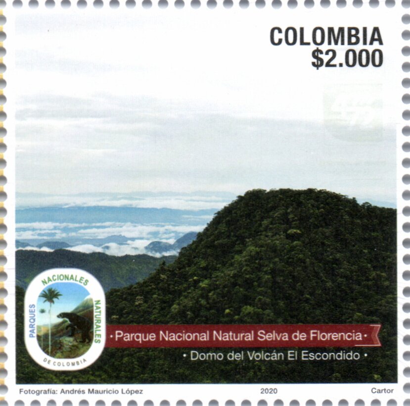 View of Selva de Florencia National Natural Park