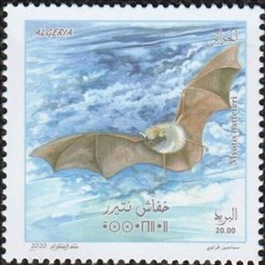 Stamp, Natterer's Bat (Myotis nattereri), Algeria,  , Animals (Fauna), Bats, Mammals