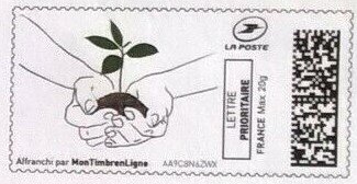 Hands Holding a Sapling