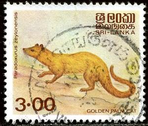 Stamp, Golden Palm Civet (Paradoxurus zeylonensis), Sri Lanka,  , Mammals, Animals (Fauna)