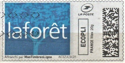 The Forest. La Foret
