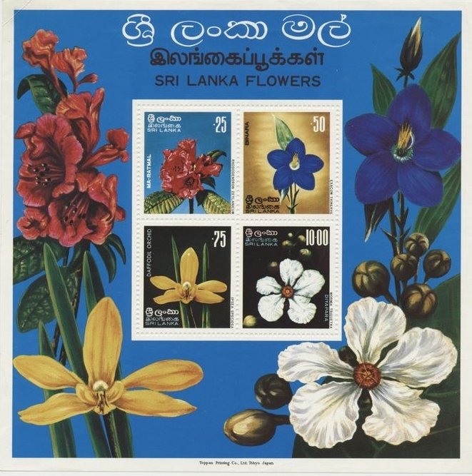 Indegenous Flowers