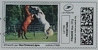 Horses