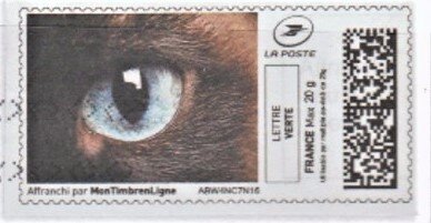 Cat's Eye