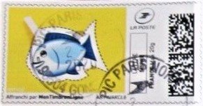 Blue Fish