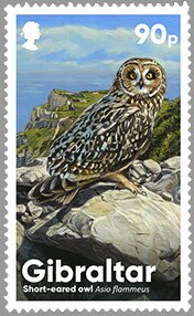 Stamp, Short-eared Owl (Asio flammeus), Gibraltar,  , Animals (Fauna), Birds, Birds of Prey, Owls