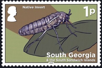 Native Invert