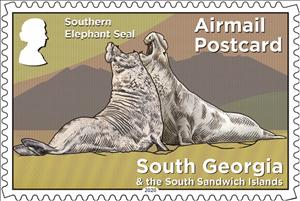 Stamp, Elephant Seal (Mirounga leonina), South Georgia and The South Sandwich Islands,  , Animals (Fauna), Mammals, Sea (Marine) Mammals, Sea Life, Seals (Animals)