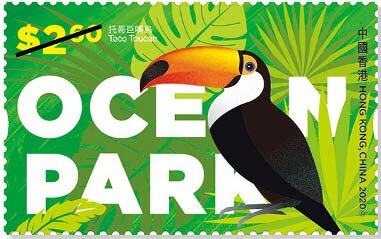 Toco Toucan
