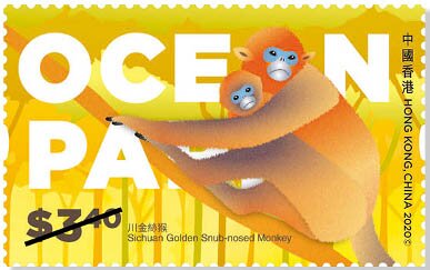 Sichuan Golden Snub-nosed Monkey