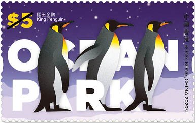 King Penguin