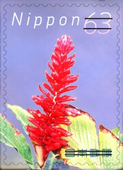 Red Ginger