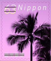Palm Tree