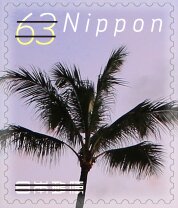 Palm Tree