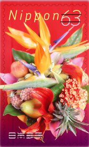 Bird of Paradise