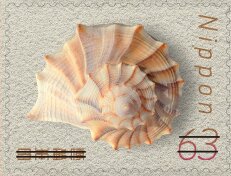 Seashell