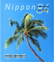 Palm Tree