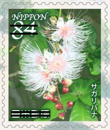 Sagaribana (Barringtonia racemosa)