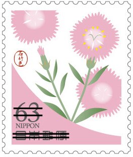 China pink blossoms (Dianthus chinensis)