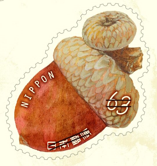 Acorn
