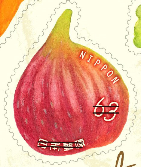 Fig