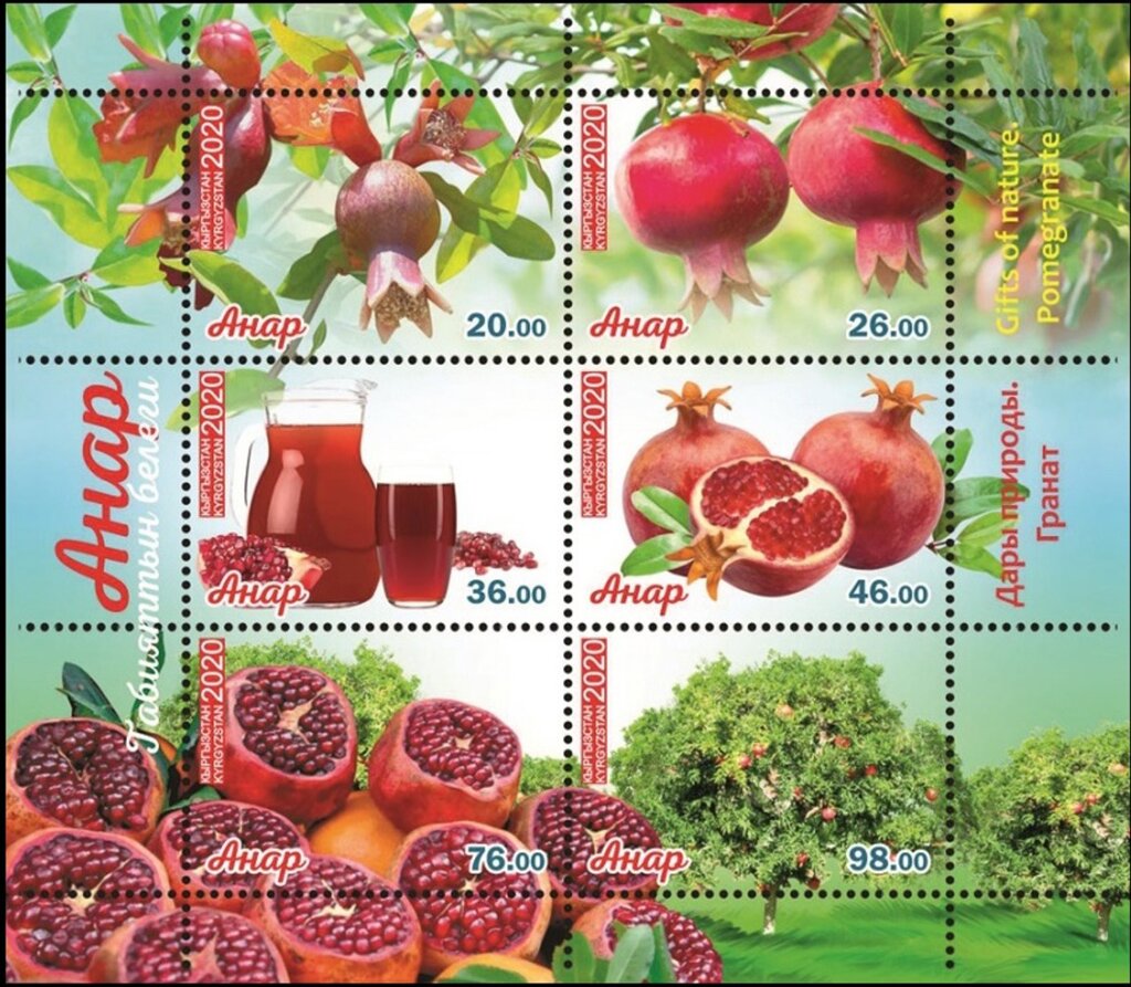 Pomegranates : A Gift of Nature