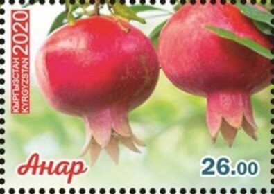 Stamp, Pomegranates on Tree, Kyrgyzstan,  , Fruits, Trees