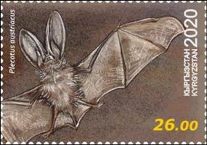 Stamp, Grey Long-Eared Bat (Plecotus austriacus), Kyrgyzstan,  , Animals (Fauna), Bats, Mammals