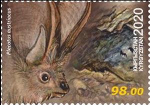 Stamp, Grey Long-Eared Bat (Plecotus austriacus), Kyrgyzstan,  , Animals (Fauna), Bats, Mammals