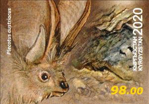 Stamp, Grey Long-Eared Bat (Plecotus austriacus), Kyrgyzstan,  , Animals (Fauna), Bats, Mammals