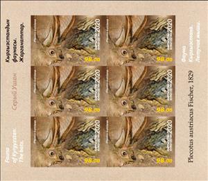 Mini Sheet, Grey Long-Eared Bat (Plecotus austriacus), Kyrgyzstan,  , Animals (Fauna), Bats, Mammals