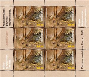 Mini Sheet, Grey Long-Eared Bat (Plecotus austriacus), Kyrgyzstan,  , Animals (Fauna), Bats, Mammals