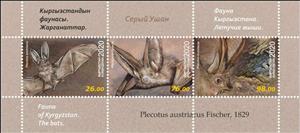 Souvenir Sheet, Grey Long-Eared Bat (Plecotus austriacus), Kyrgyzstan,  , Animals (Fauna), Bats, Mammals