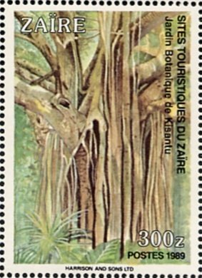 Jardin Botanique de Kisantu