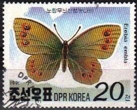 Lapland Ringlet (Erebia embla)