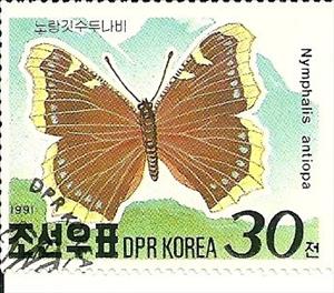Stamp, Mourning Cloak (Nymphalis antiopa), Korea, North,  , Butterflies