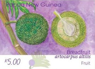 Breadfruit Fruit