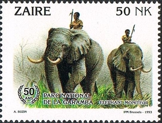 African Elephant (Loxodonta africana)