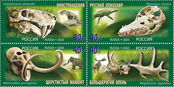 Prehistoric Animals