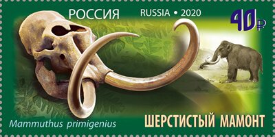 Stamp, Mammathus primigenius, Russia,  , Animals (Fauna), Elephants, Mammals, Prehistorical Animals