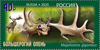 Megaloceros giganteus