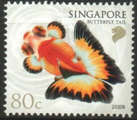 Butterfly Tail (2020B Reprint)