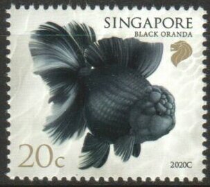 Stamp, Black Oranda (2020C Imprint), Singapore,  , Animals (Fauna), Fishes