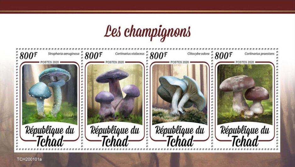 Mushrooms
