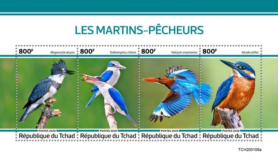 Kingfishers