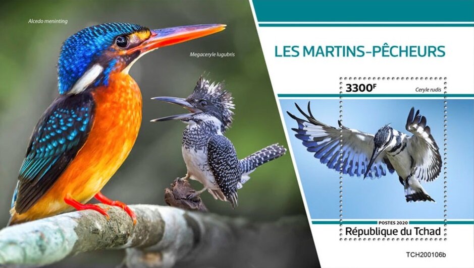 Kingfishers
