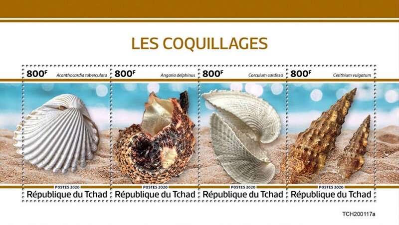 Shells
