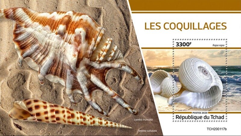Shells