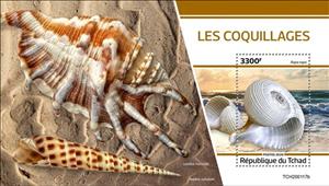 Souvenir Sheet, Shells, Chad,  , Sea Life, Shells